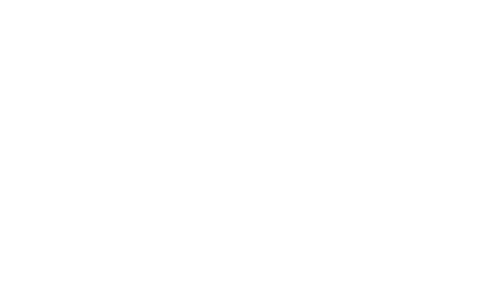 vvipsingapore
